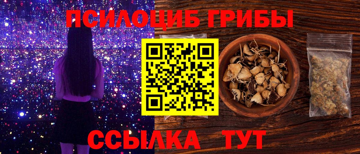 Псилоцибиновые грибы Magic Shrooms  Вход с VPN  Хасавюрт 
